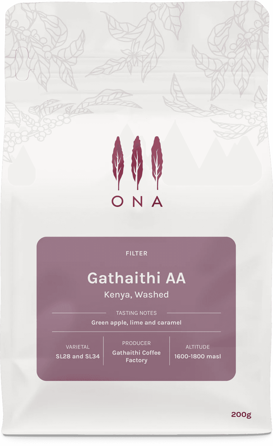 Image of Gathaithi AA Kenya Washed