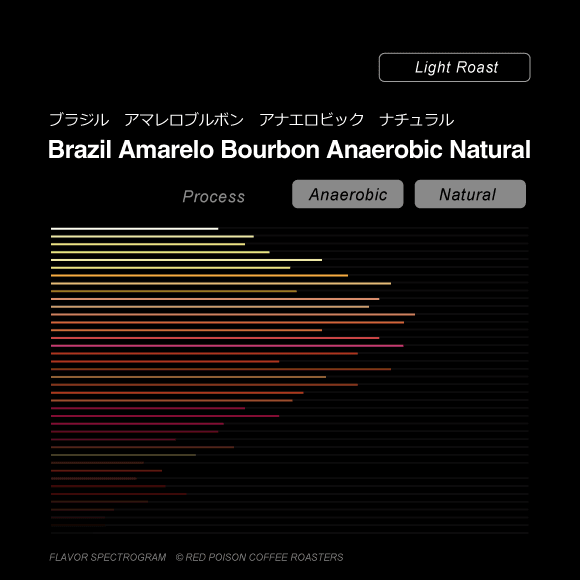 Image of Amarelo Bourbon Anaerobic Natural