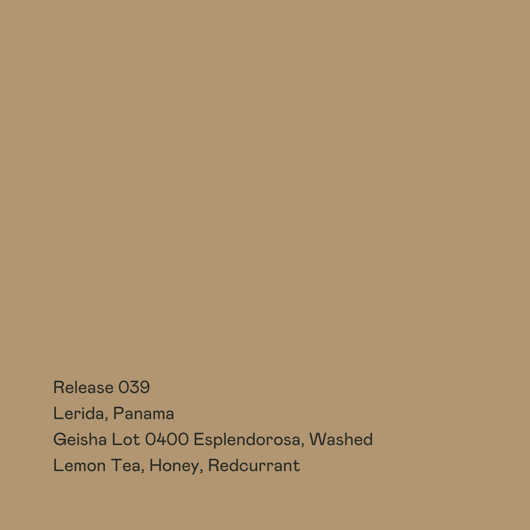 Image of Release 039 - Lerida Lot 0400 Esplendorosa Geisha Washed