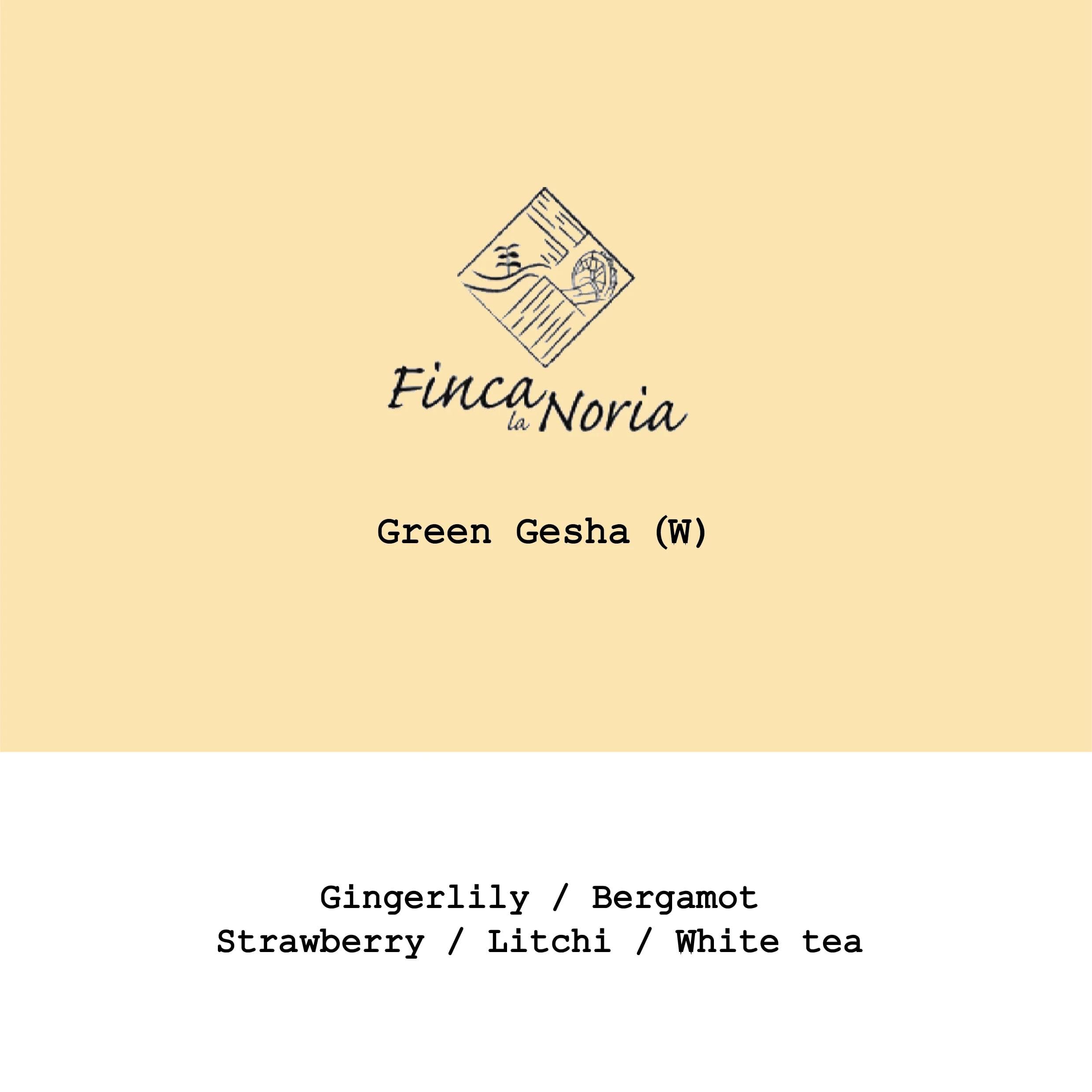 Image of Ecuador La Noria Green Geisha Washed