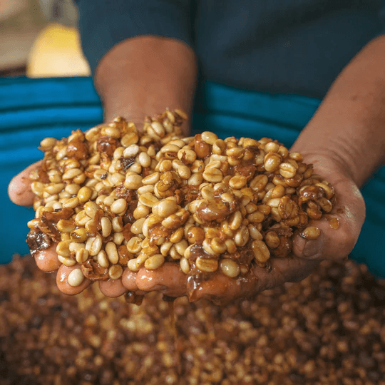 Image of Peru Puente Solaya