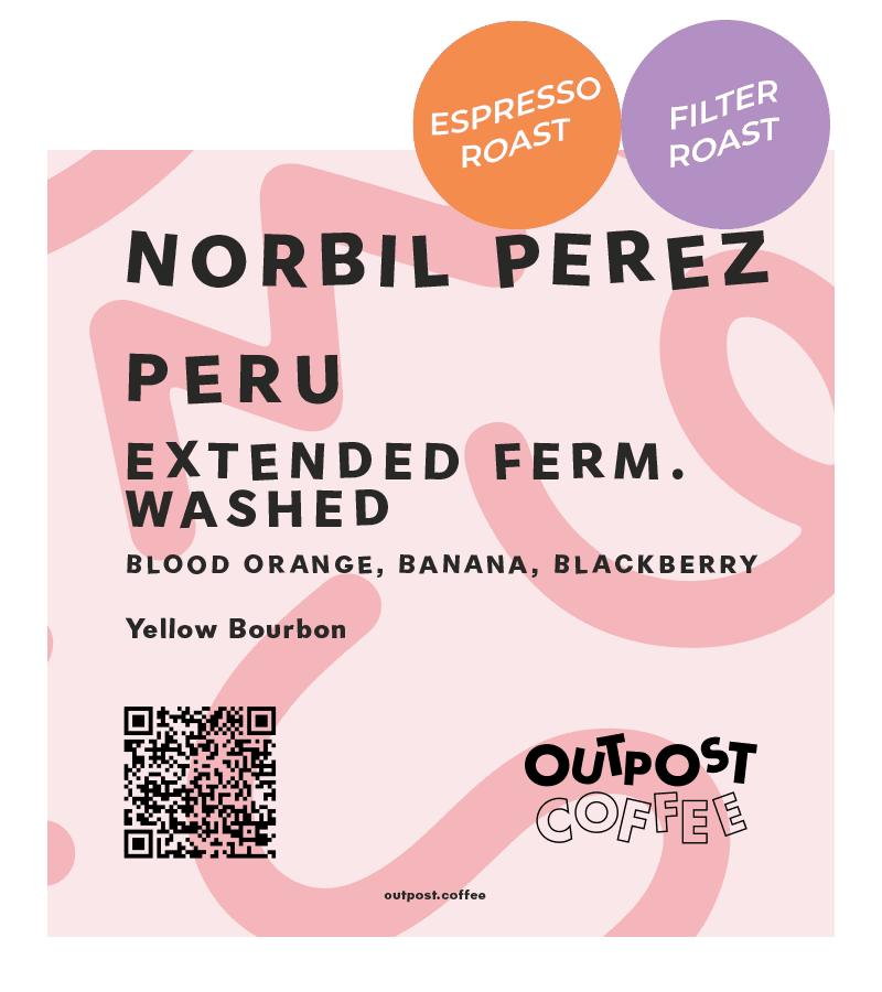 Image of Norbil Perez Extended Fermentation Washed Peru