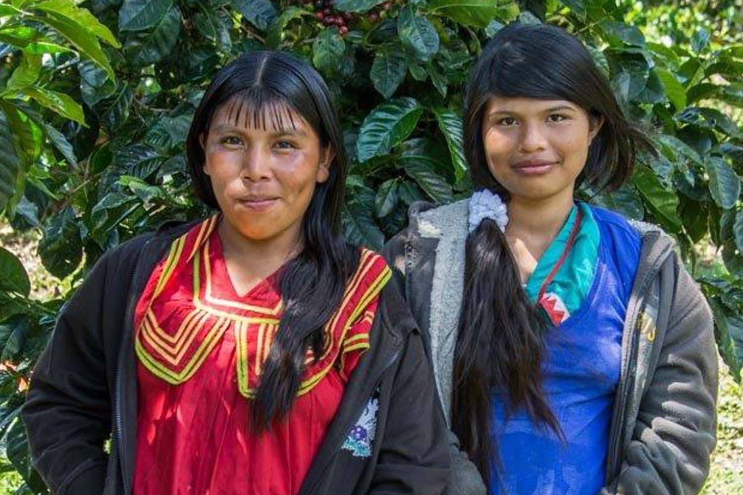 Image of La Rosita Catuai Natural Panama 2025