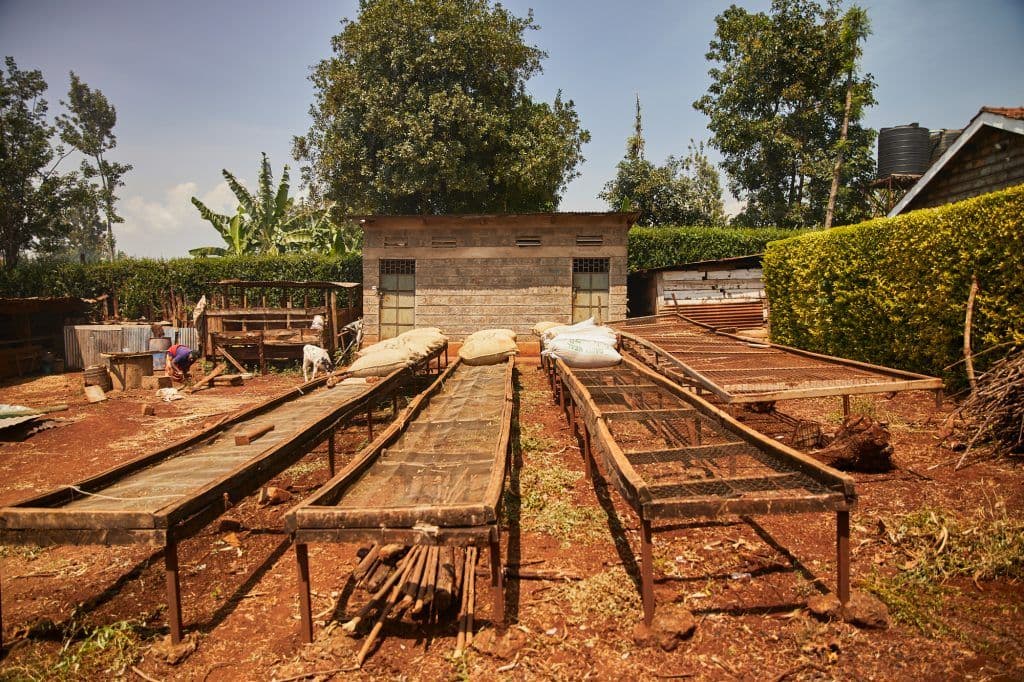 Image of Kenya Komothai