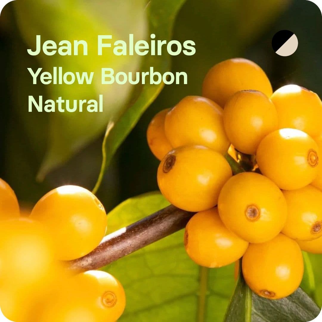 Image of Jean Faleiros Brazil