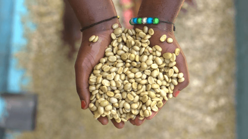 Image of Rwanda - Wakanda A1