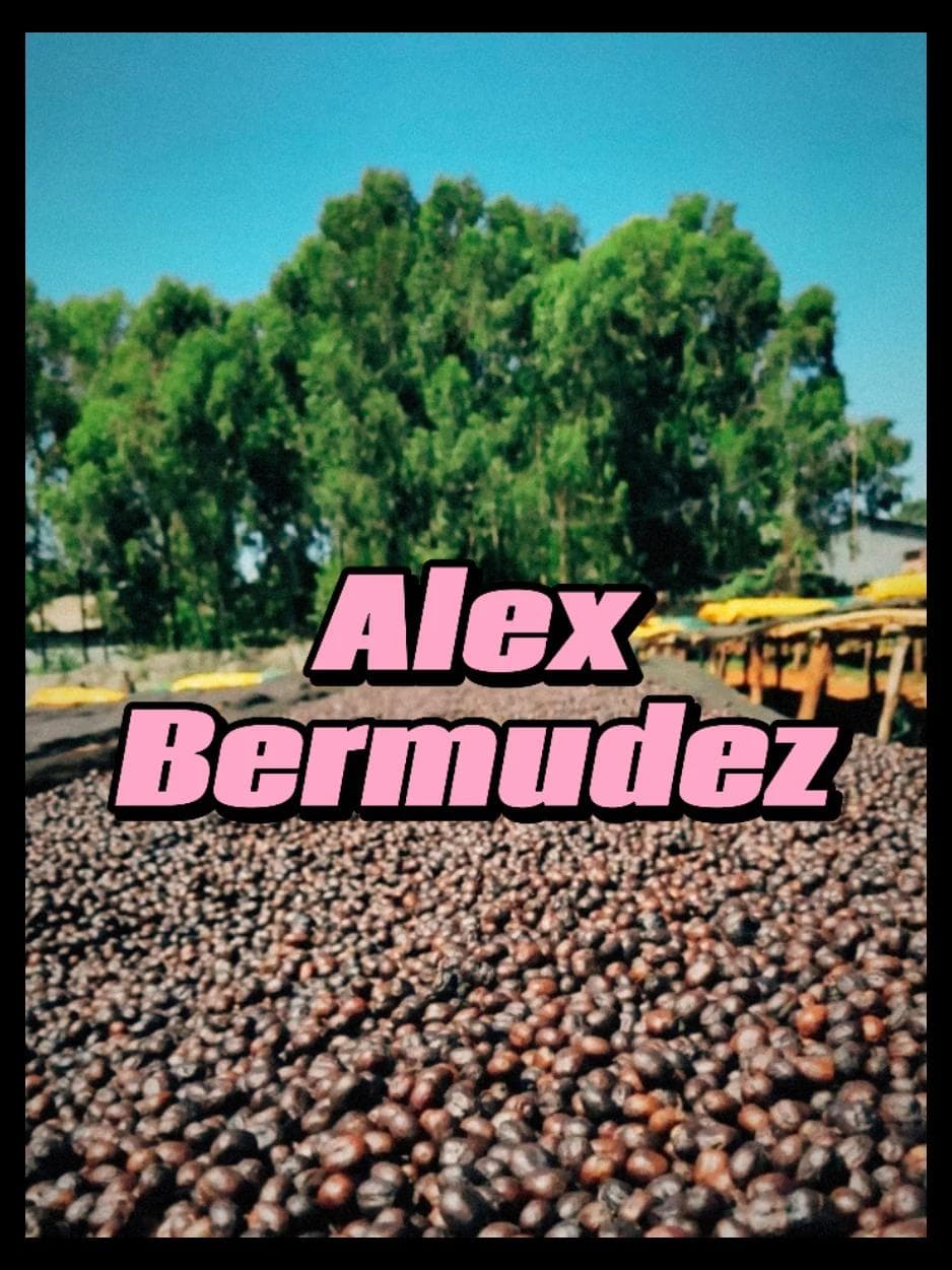 Image of Alex Bermudez Colombia