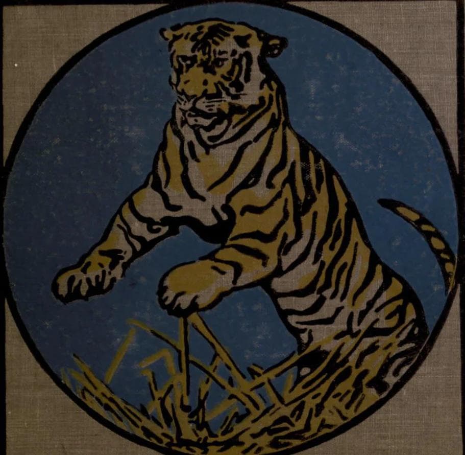 Image of Handsome Tiger