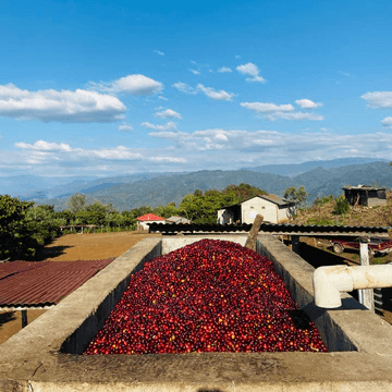 Image of Guatemala Qejna