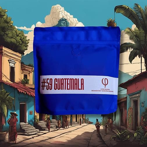 Image of Coffee beans - Guatemala, New Oriente | Washed
