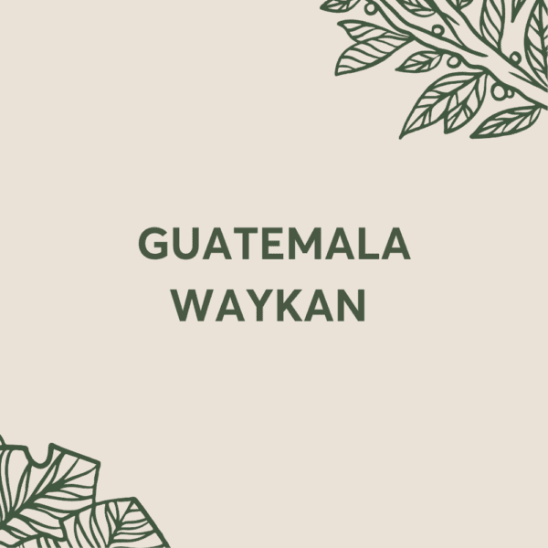 Image of Guatemala Waykan