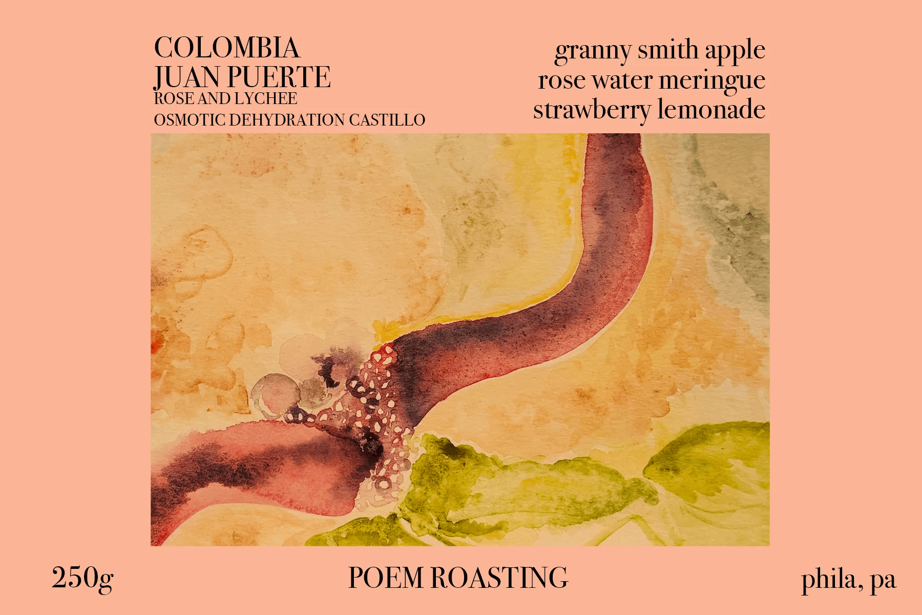 Image of Colombia Juan Puerte Rose Lychee Osmotic Dehydration Castillo