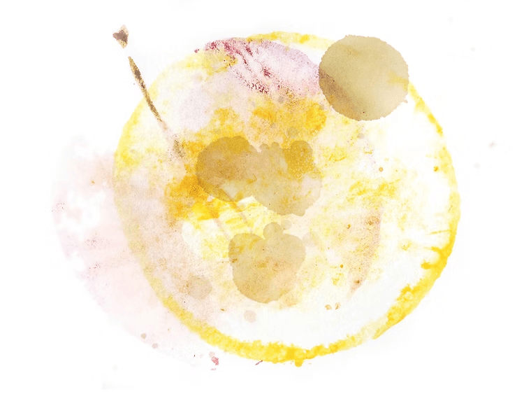 Image of Cafeologo Marsellesa