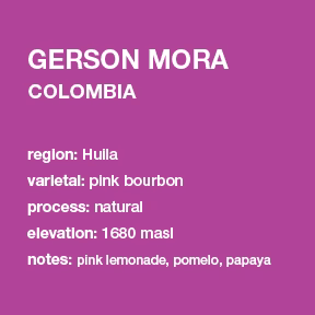 Image of Colombia Gerson Mora