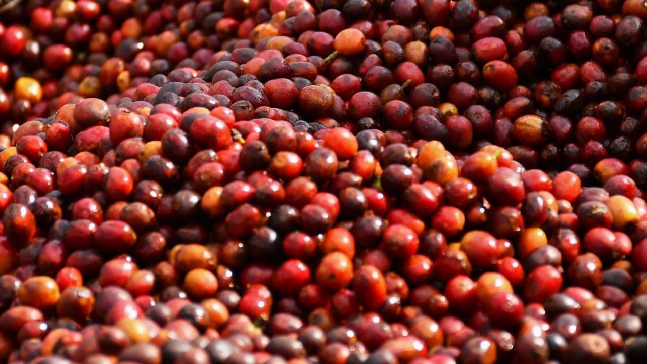 Image of Colombia Marisela & Rigoberto Sánchez