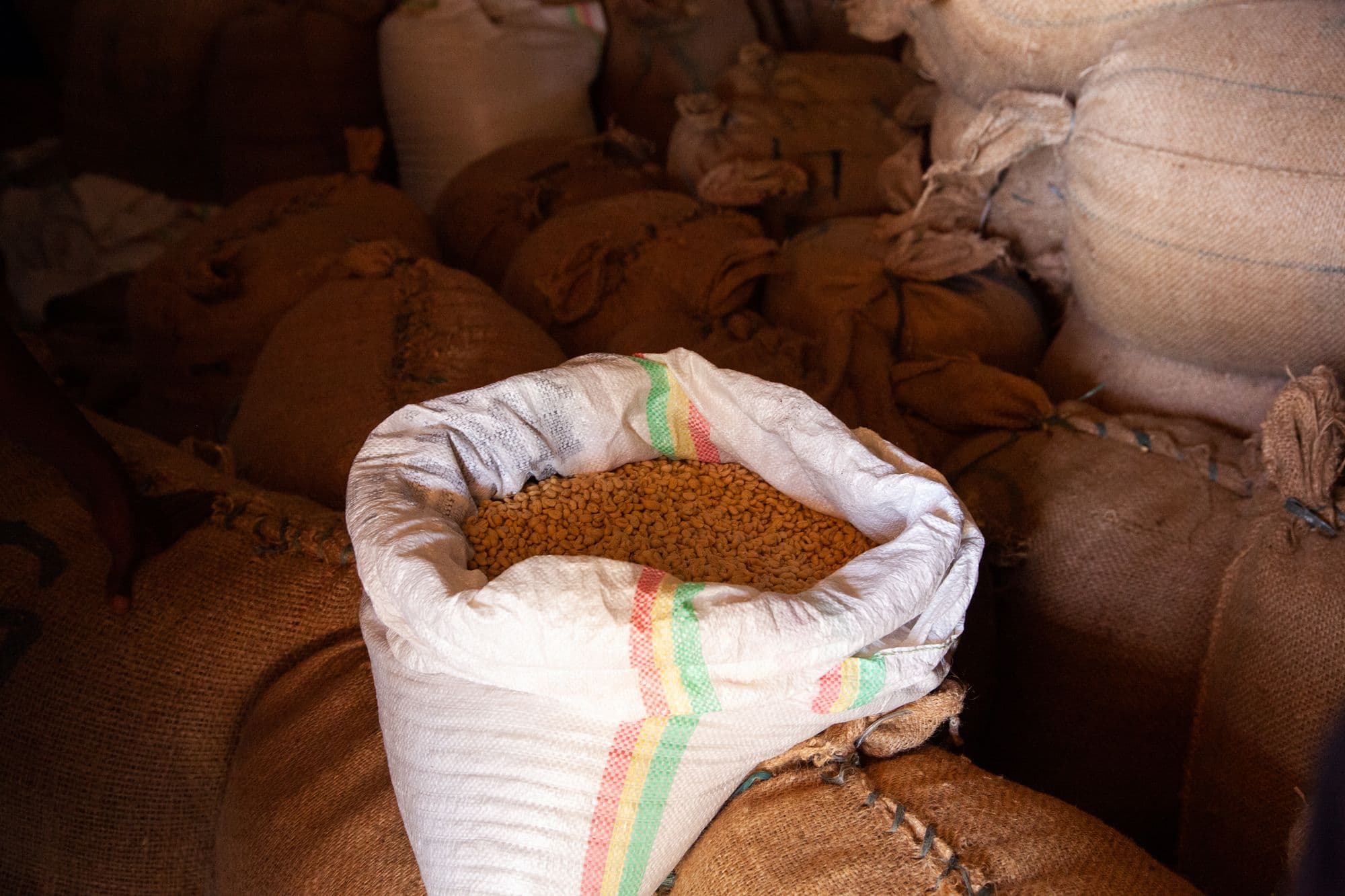 Image of Ethiopia Banko Gotiti Premium