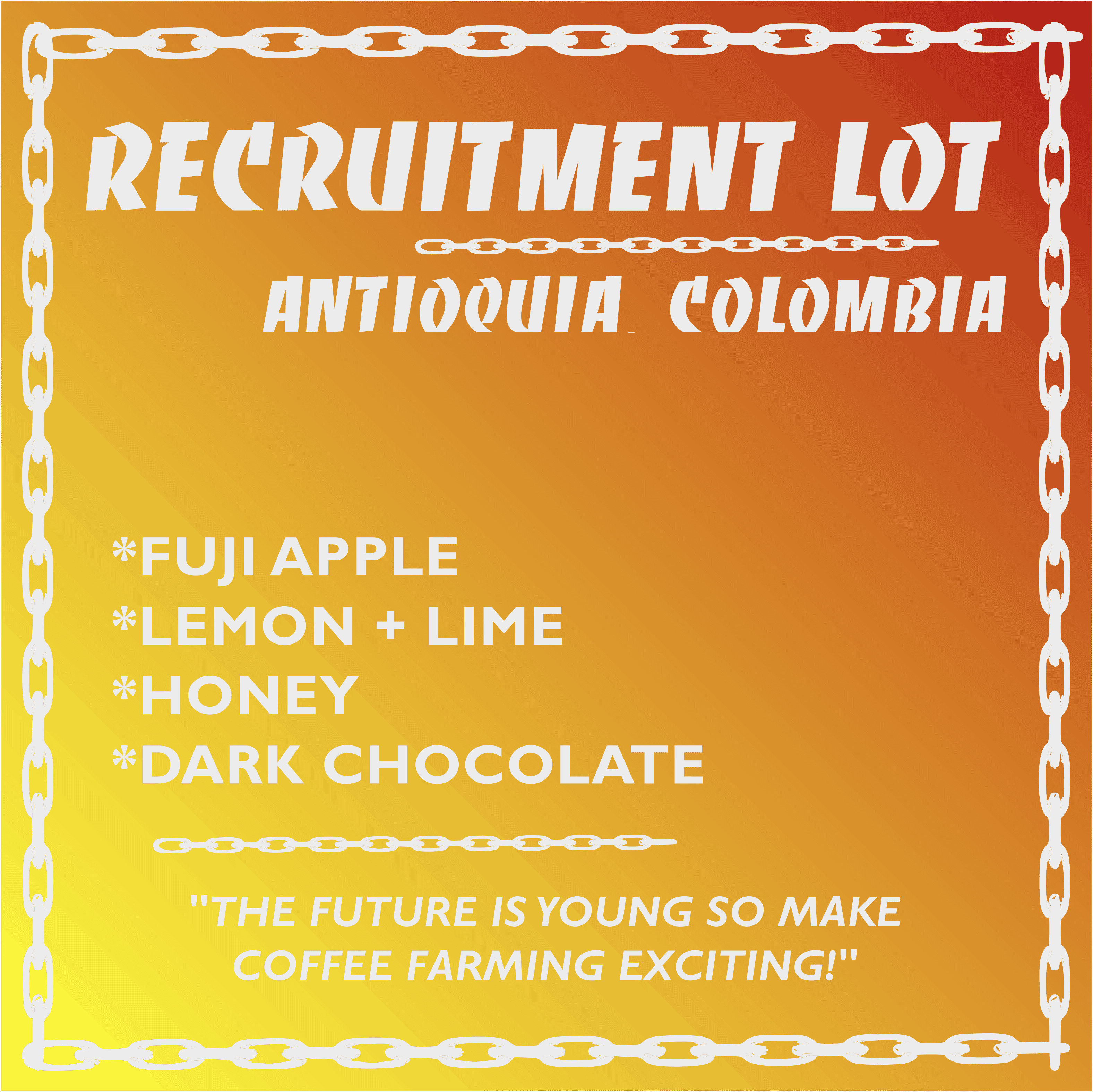 Image of Recruitment Lot - Washed