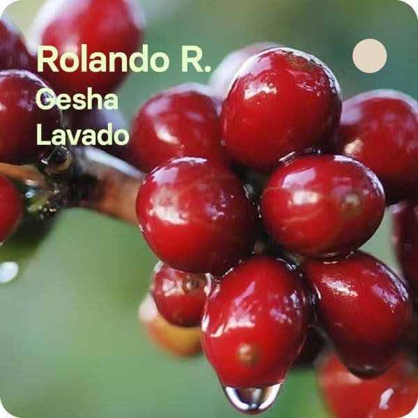 Image of Rolando Rondon Colombia