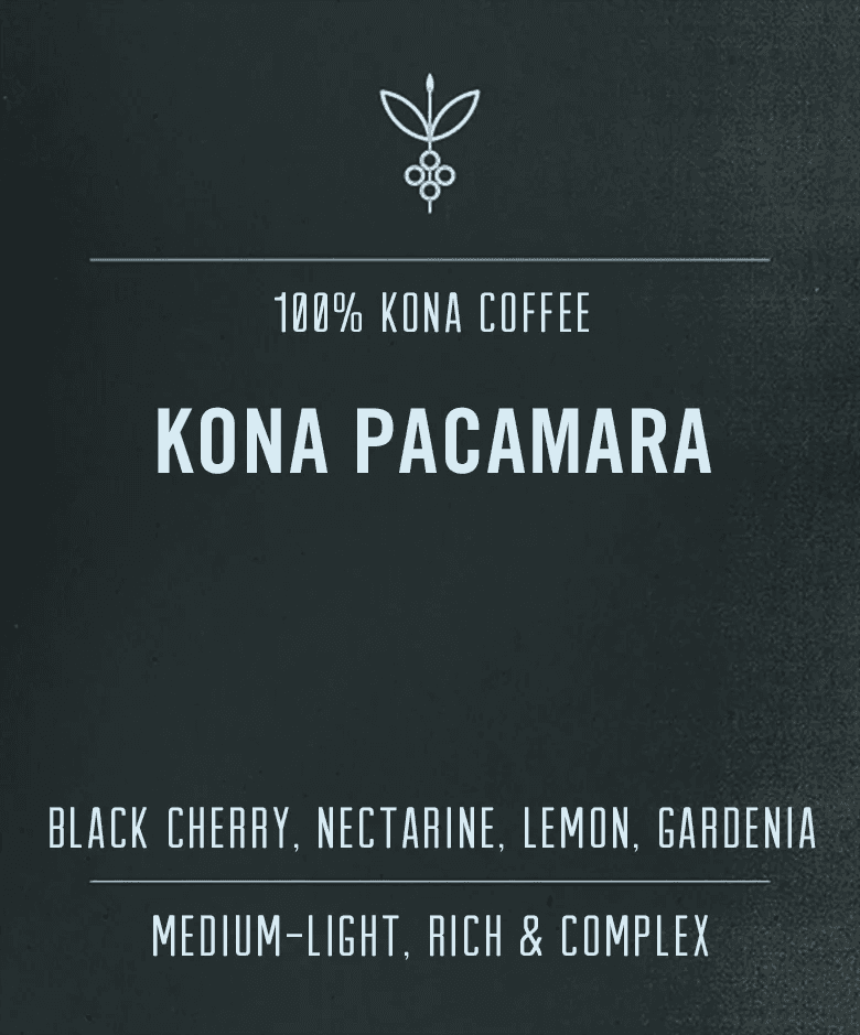 Image of Kona Pacamara