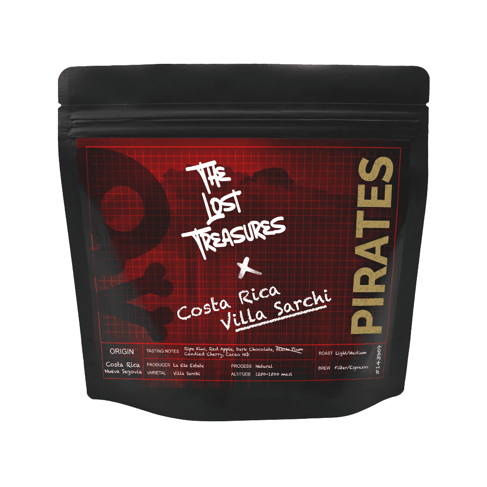 Image of Villa Sarchi Costa Rica Natural