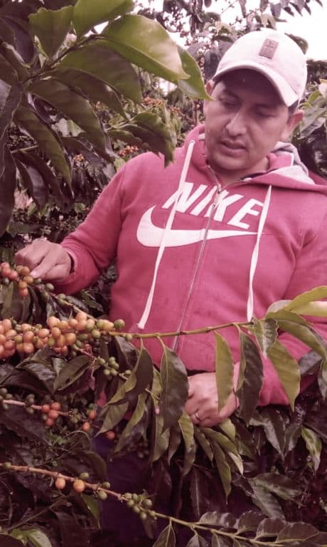 Image of La Cristalina