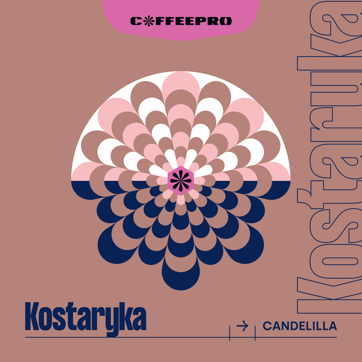 Image of Kostaryka Candelilla
