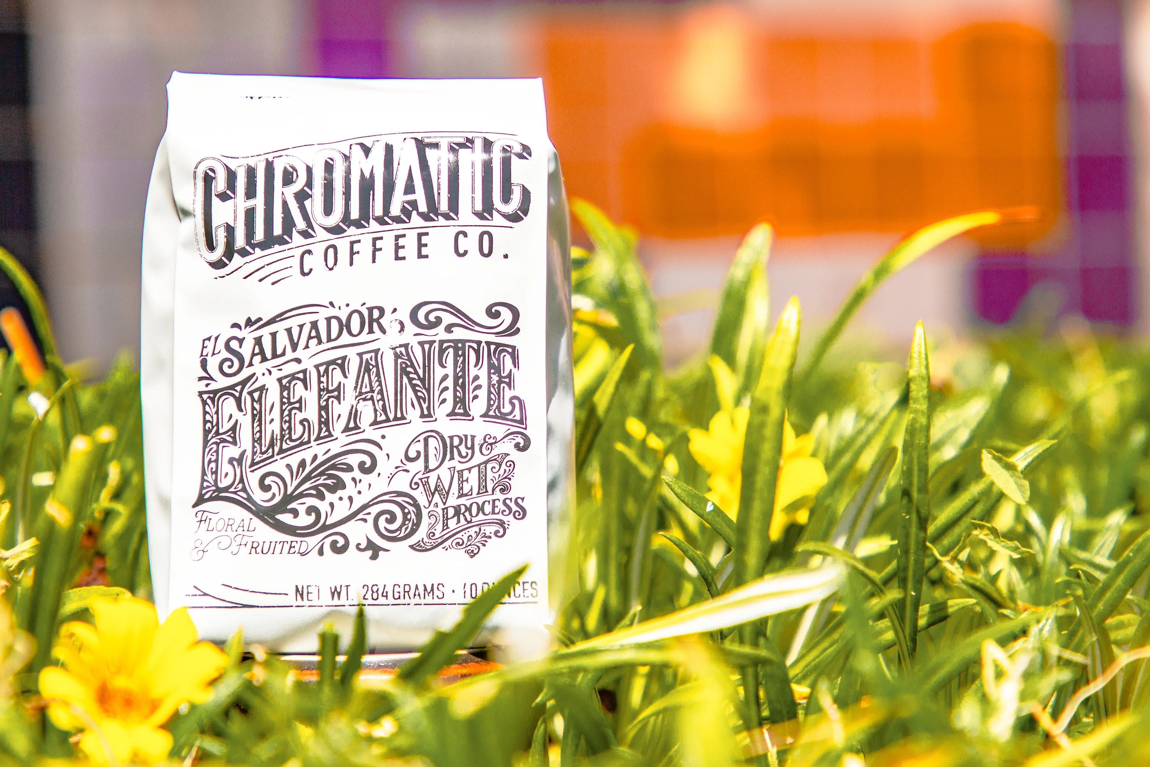 Image of Elefante Dry Wet Process