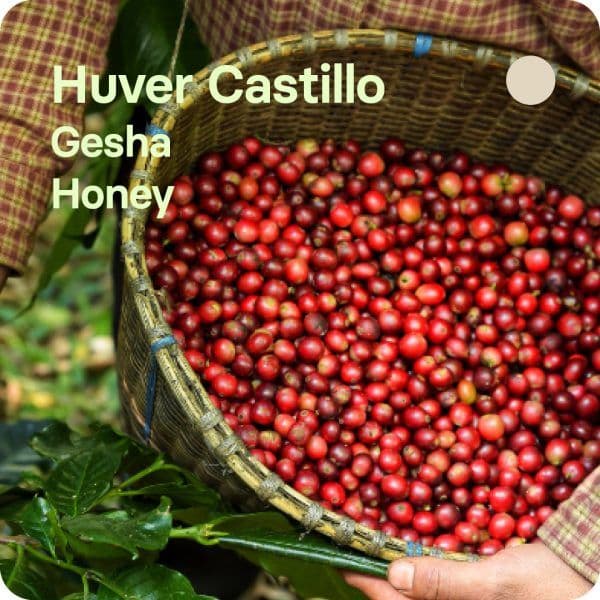 Image of Huver Castillo Colombia