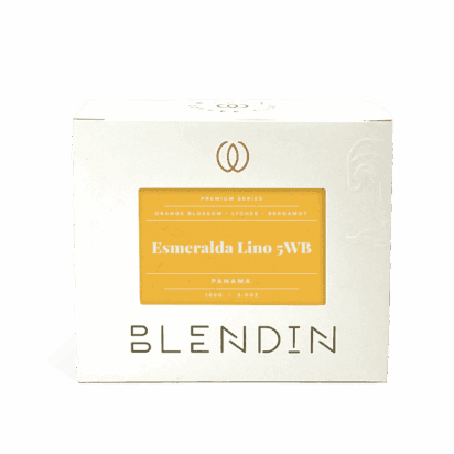 Image of Esmeralda Lino 5WB