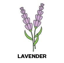 Image of Colombia San Adolfo