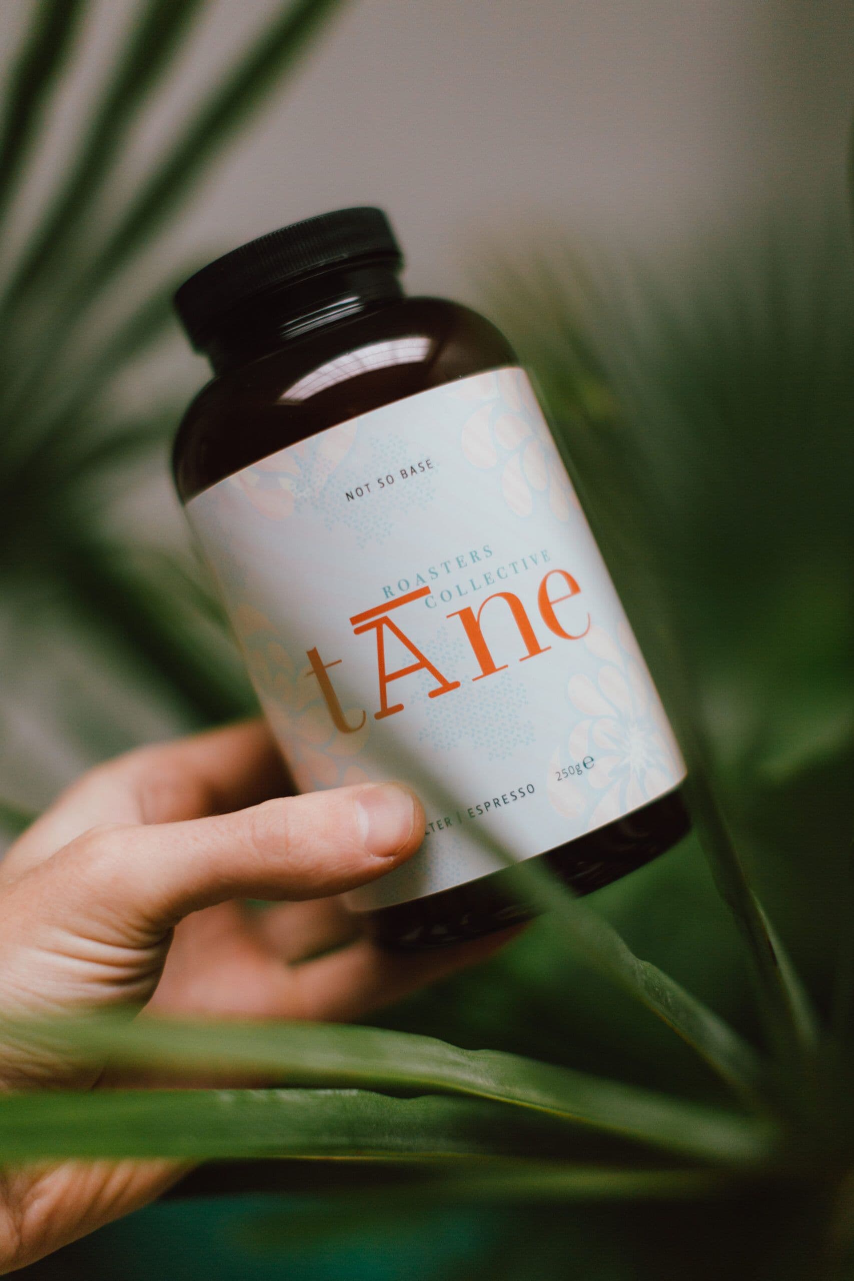 Image of Finca Aurora - Nicaragua