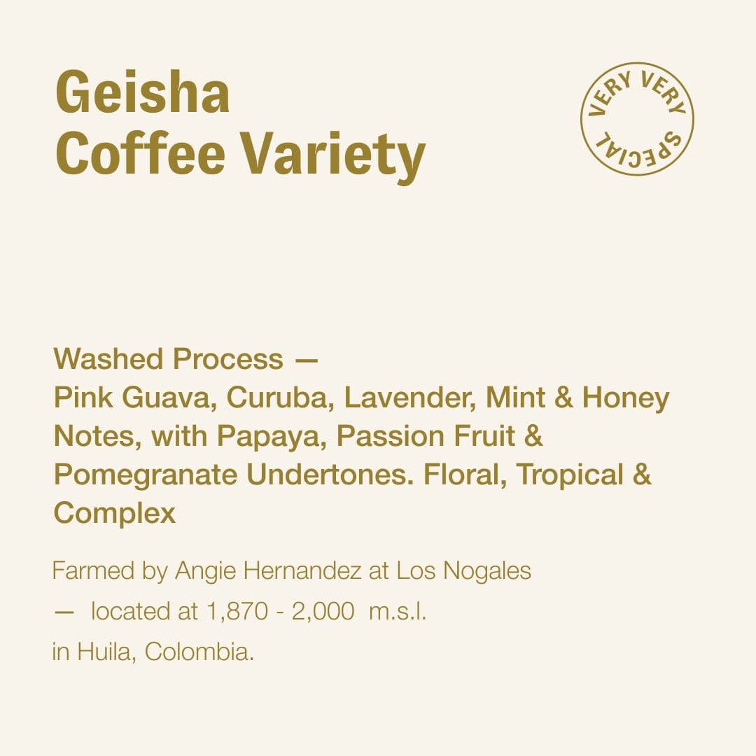 Image of Geisha coffee variety Angie Hernandez Colombia