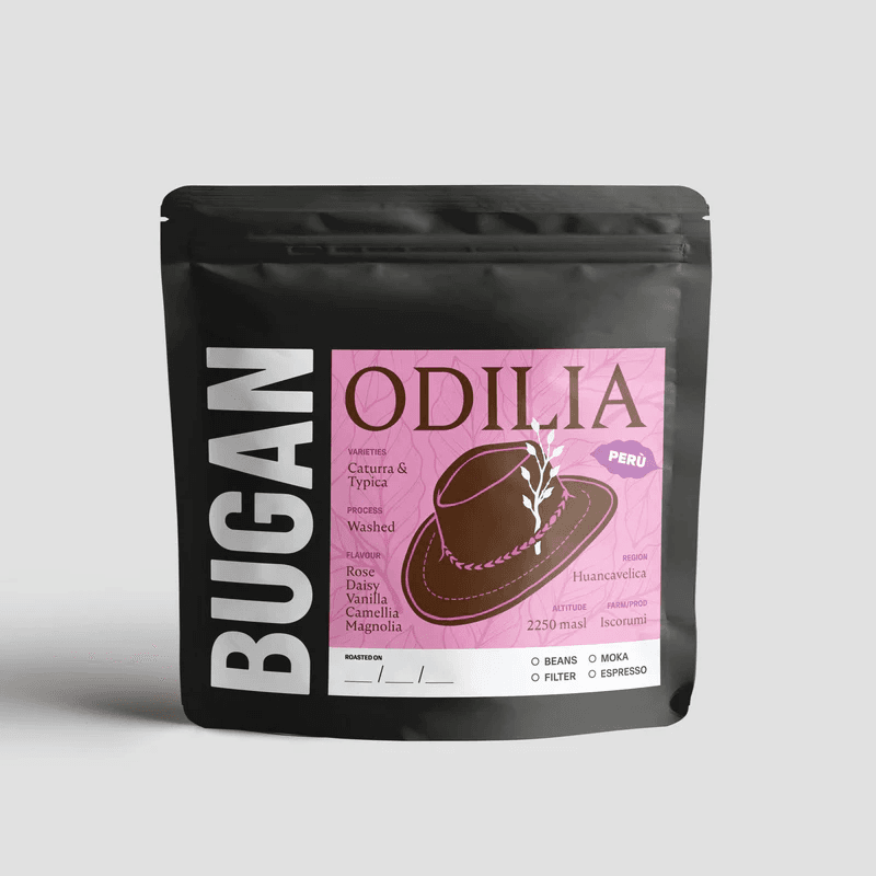 Image of Odilia - Peru