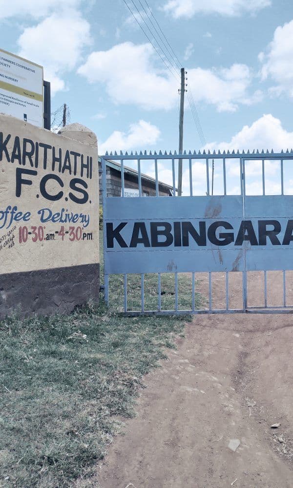 Image of Cabin Kenya