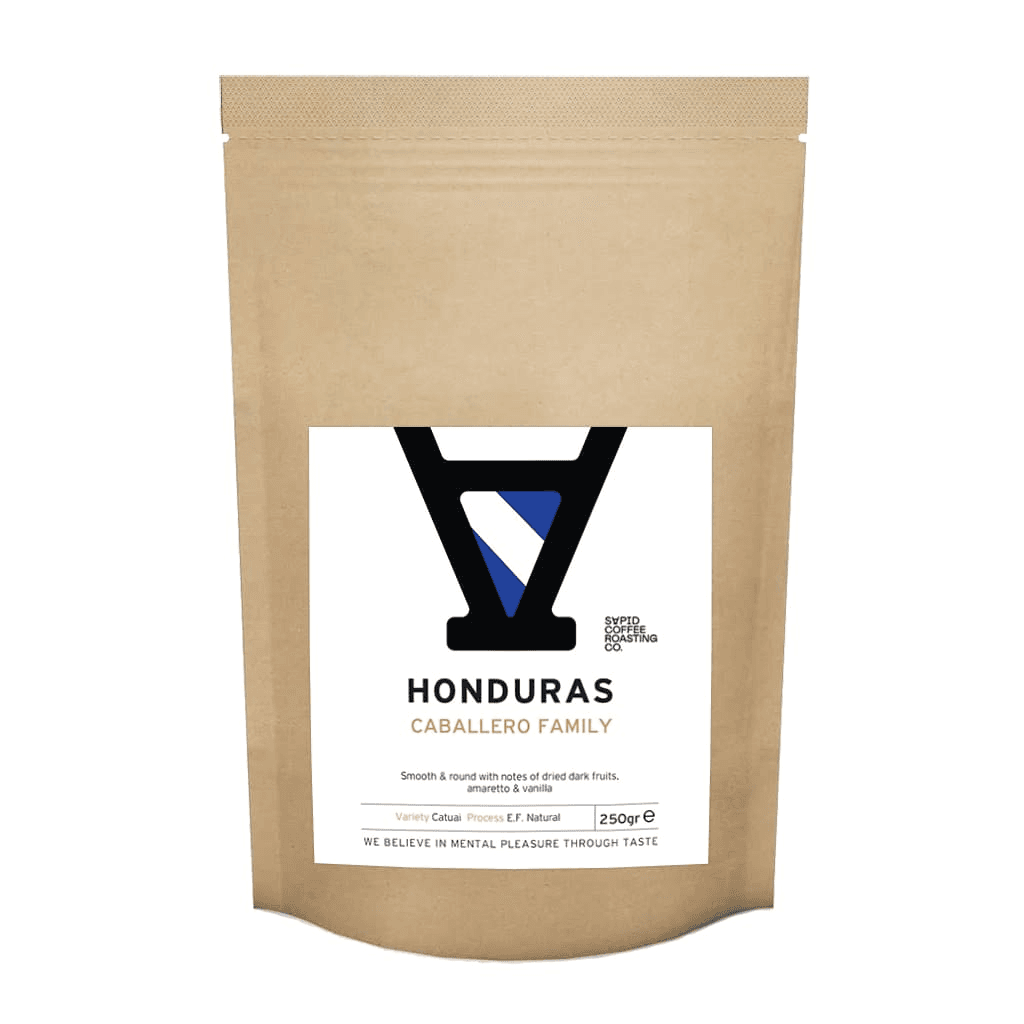 Image of Honduras Caballero Family