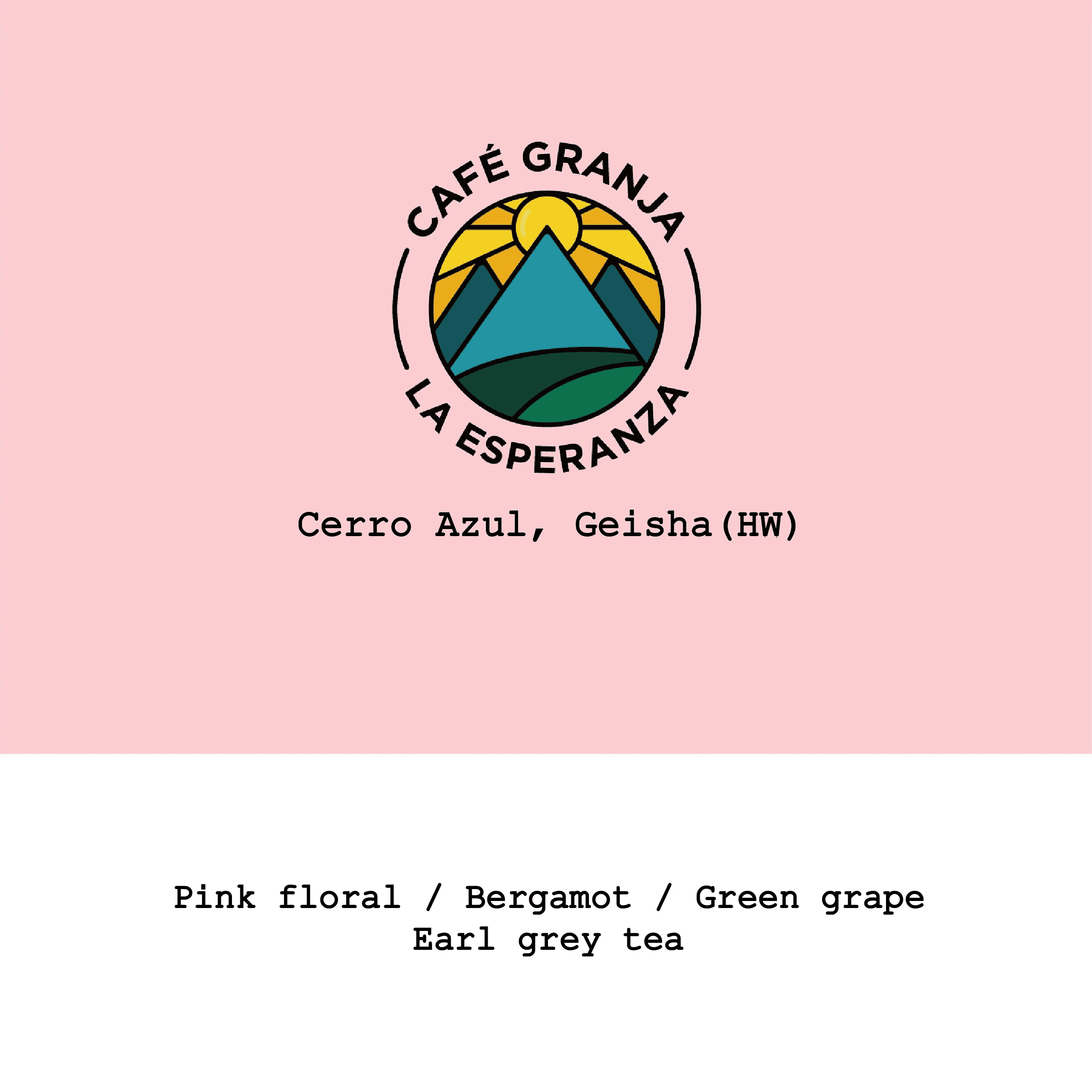Image of New Crop Colombia Cerro Azul Geisha Hybrid-washed
