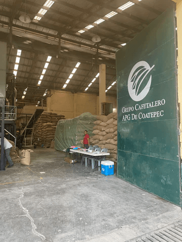 Image of Finca Las Trincheras Geisha Veracruz  Lavado