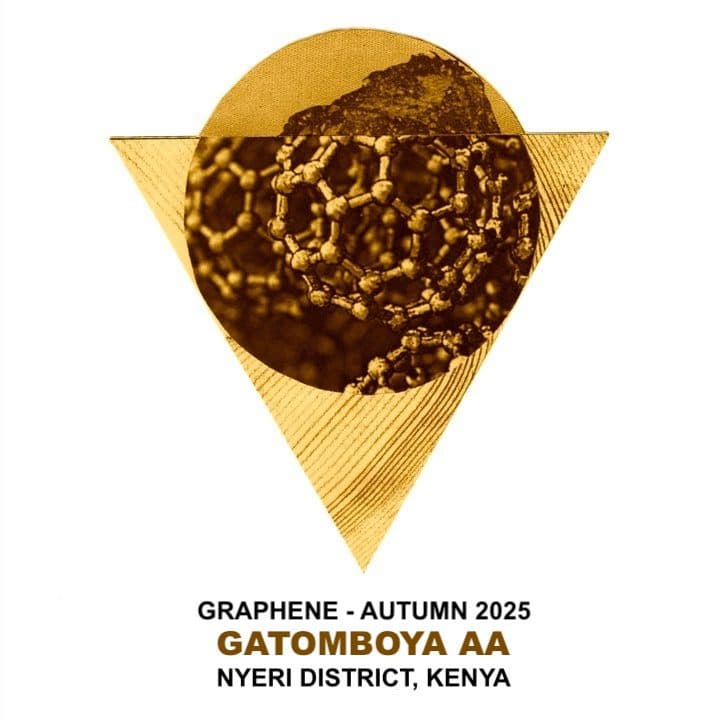 Image of Gatomboya AA Kenya