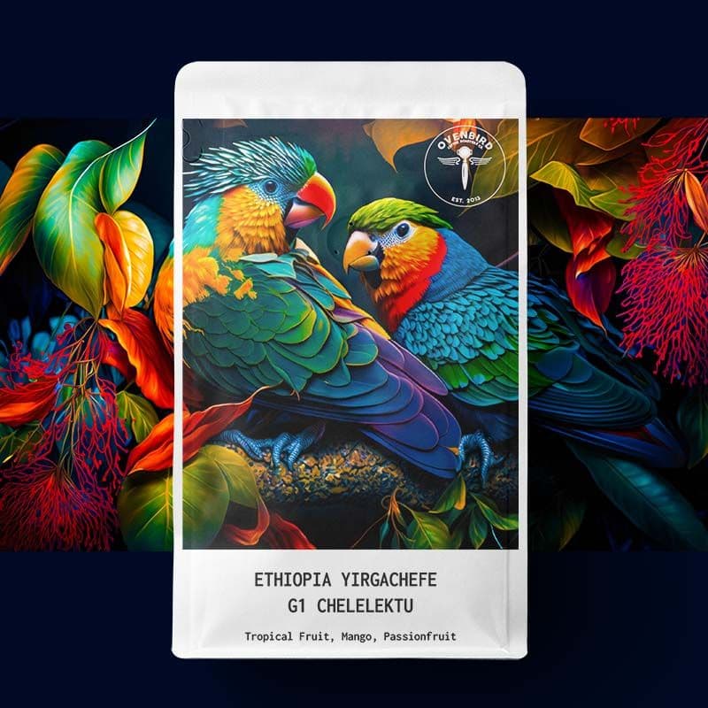 Image of Ethiopia Yirgachefe G1 Chelelektu