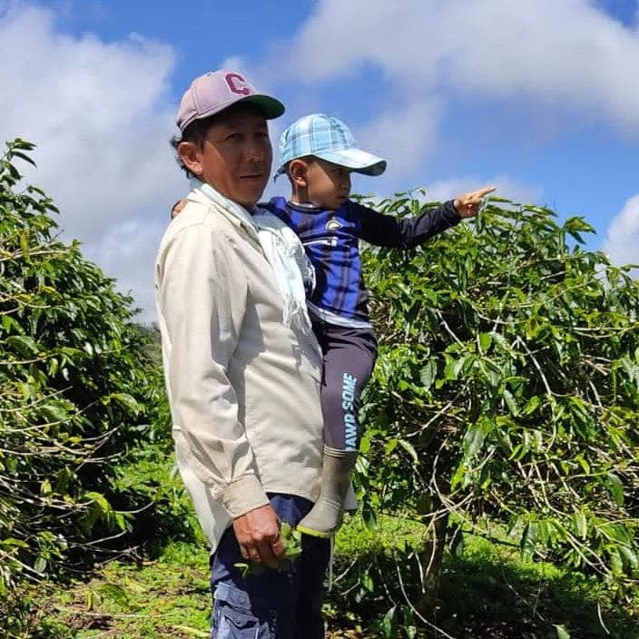 Image of Wilmer Cubillos - Tabi - Washed - Colombia - 2024