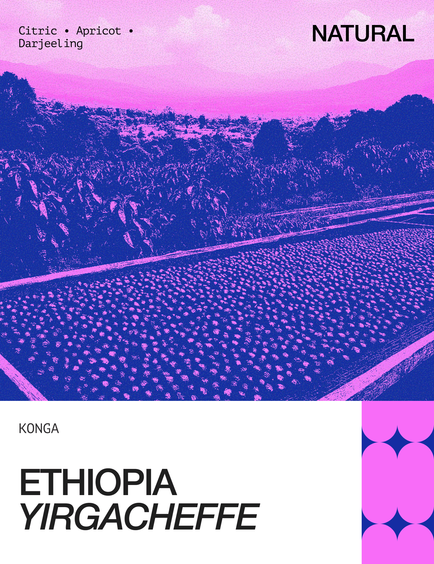 Image of Ethiopia Yirgacheffe Konga