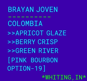 Image of Brayan Joven