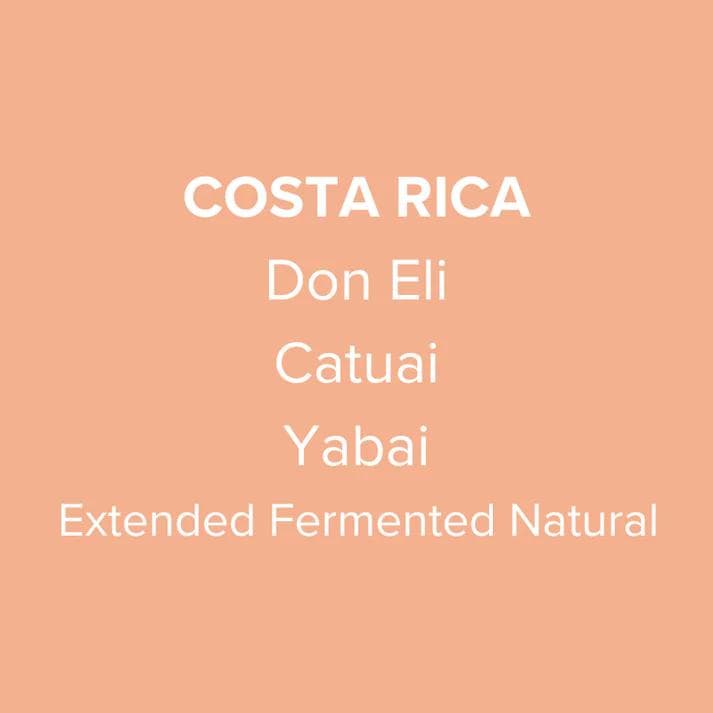 Image of  Costa Rica Don Eli Catuai "Yabai" Extended Fermented Natural