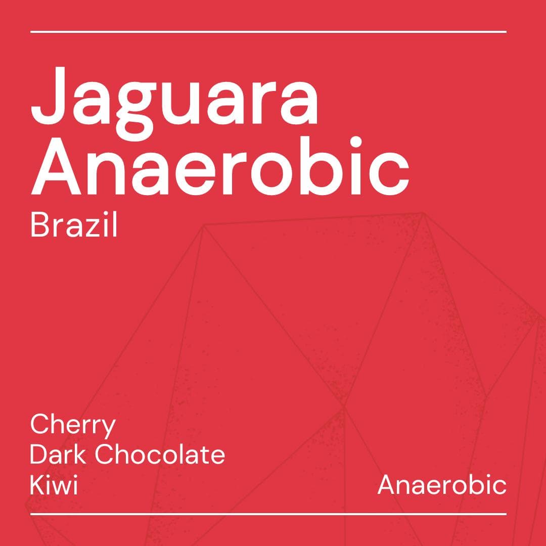 Image of Jaguara Anaerobic