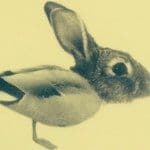 Image of Duck Rabbit Coffee
