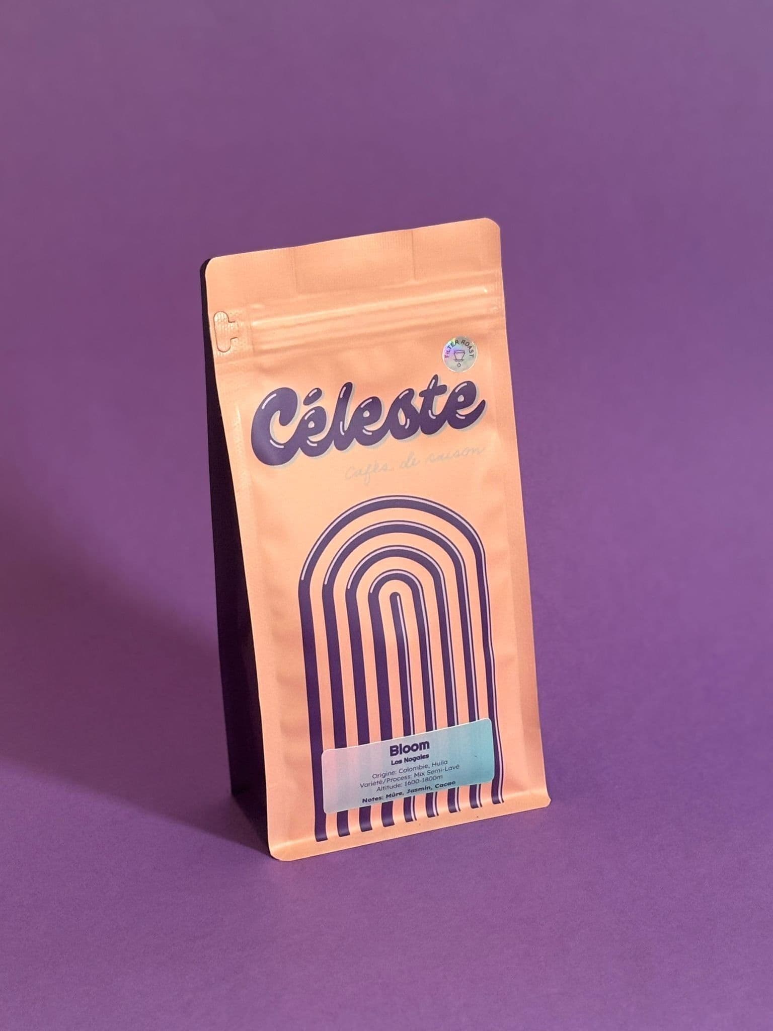 Image of Bloom Filter