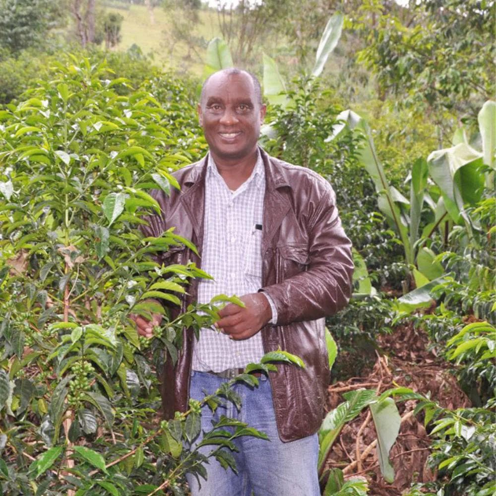 Image of Ethiopia - Rumudamo by Asefa Dukamo- Washed (CoE 2020 #2 Farm)