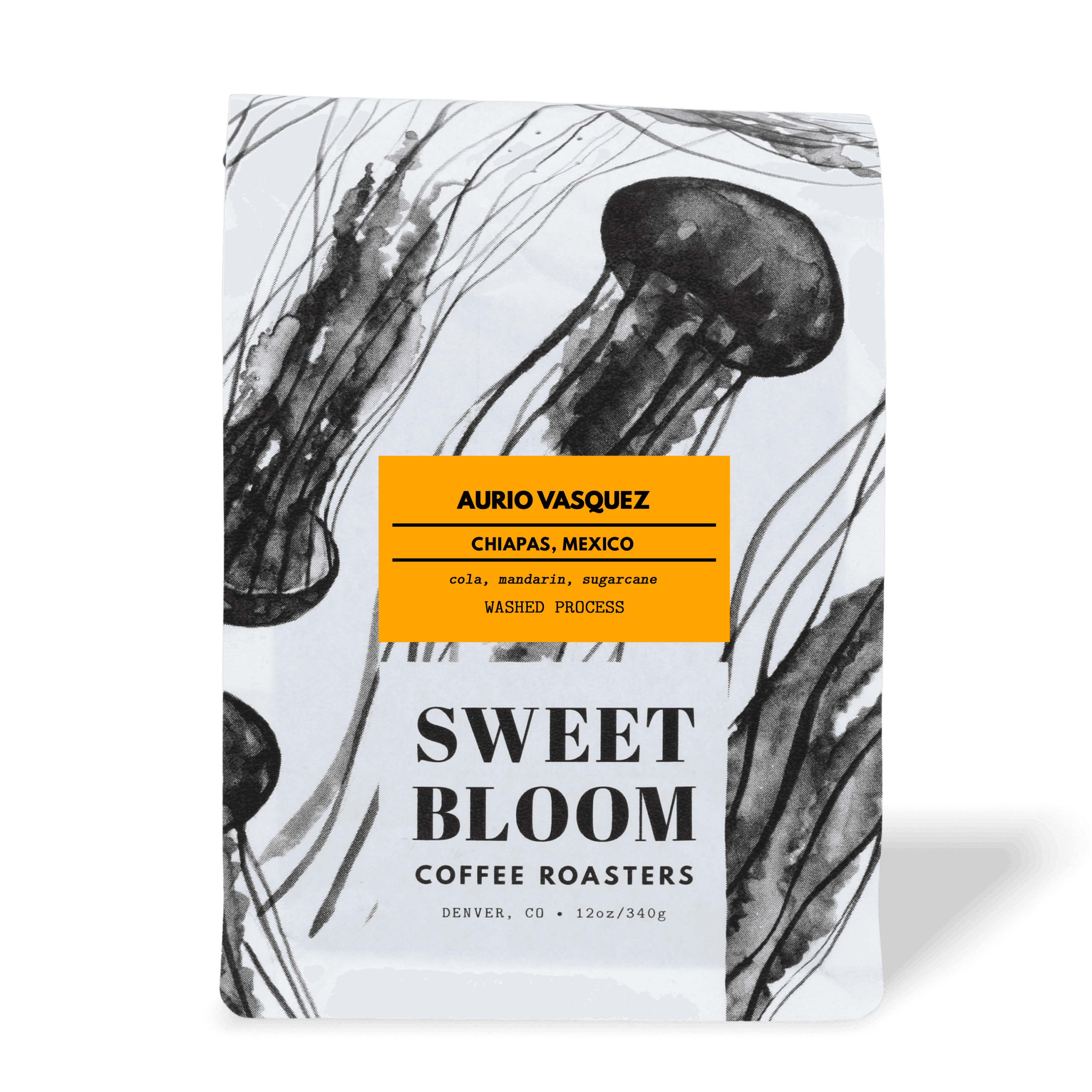 Image of Aurio Vasquez