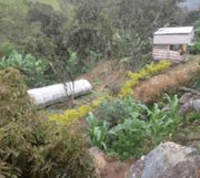 Image of Colombia Excelso Sugarcane Decaf