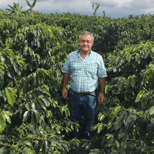 Image of Colombia Jairo Arcila Banana